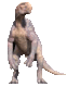 Ausmalbilder von Dinosaur